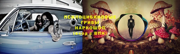 каннабис Аркадак