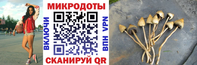 Галлюциногенные грибы мухоморы  Купить  Судогда 