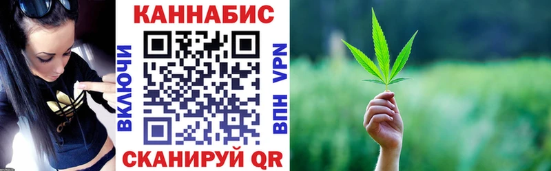 Купить где  Судогда  Конопля индика 